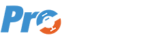 ProFlight Logo